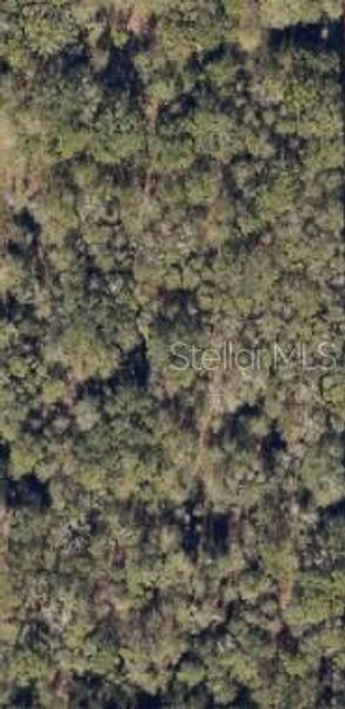 0 Sw Blanton Ln, Lake City, FL, 32024 | Card Image