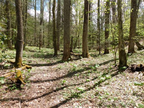 26-TBD Black Bear Trail, Linville, NC, 28646 | Card Image