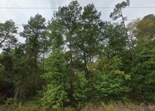 323 Ridge Rd, Satsuma, FL, 32189 | Card Image