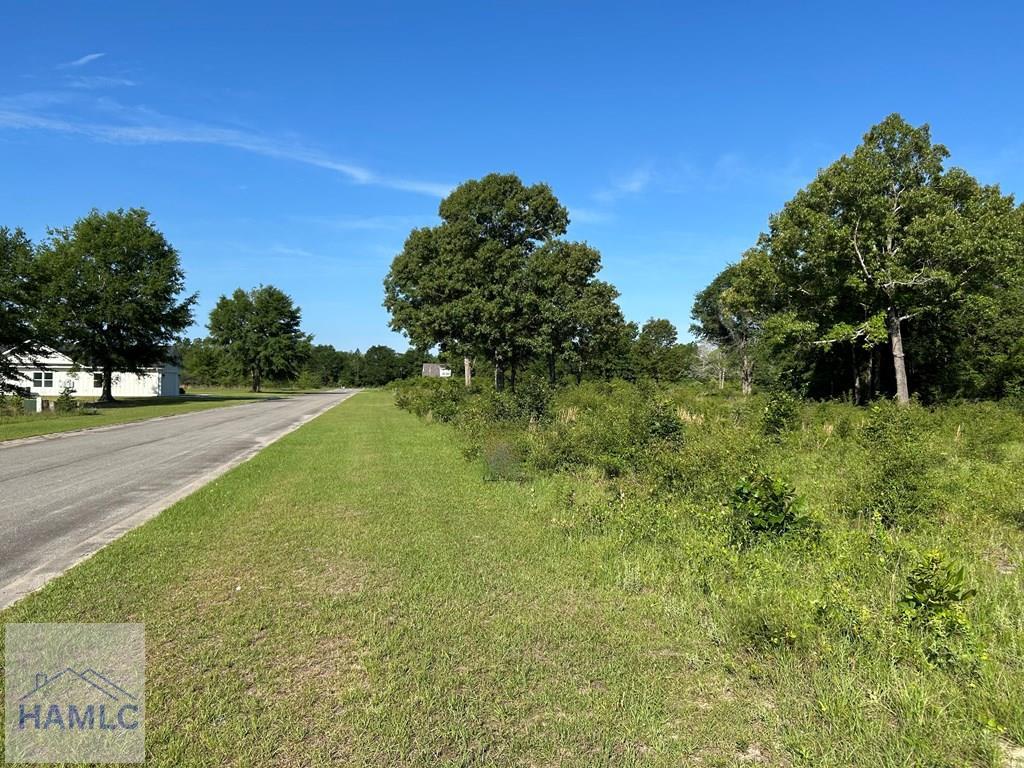 Land in Jesup