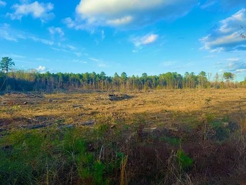 0 Ian Johnson Rd, Boyce, LA, 71409 | Card Image