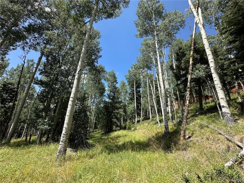 7 Calkins St, Jasper, CO, 81132 | Card Image