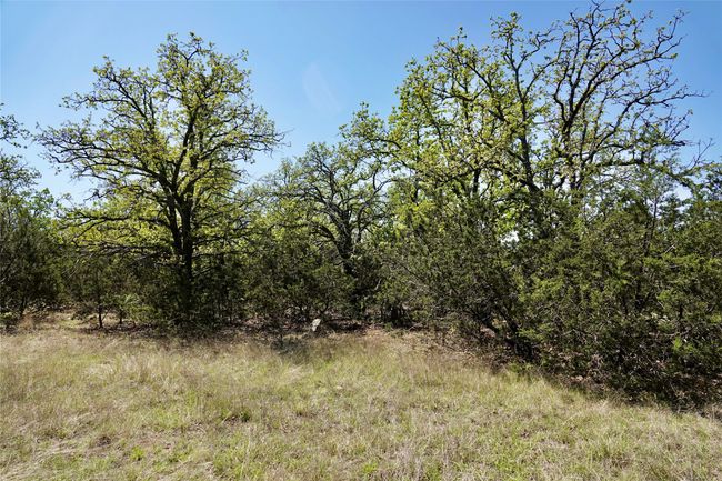 12345 County Road 107, Home with 0 bedrooms, 0 bathrooms and null parking in Mingus TX | Image 35