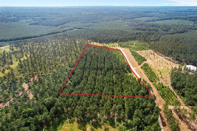 Approximate Property Area | Image 9