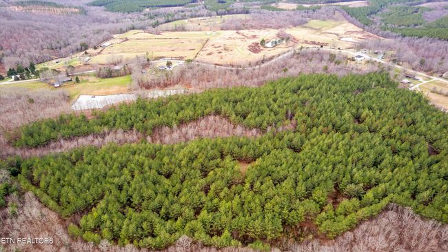 0 Morgan Co Hwy, Home with 0 bedrooms, 0 bathrooms and null parking in Sunbright TN | Image 9