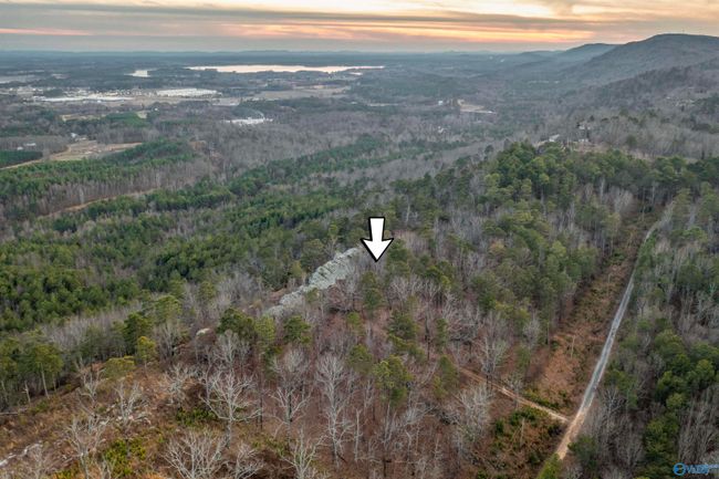 LOT 81 Mauney Lane, Home with 0 bedrooms, 0 bathrooms and null parking in Leesburg AL | Image 10