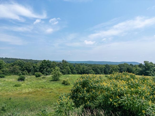86 Balleymount Drive, Home with 0 bedrooms, 0 bathrooms and null parking in Ancram NY | Image 7