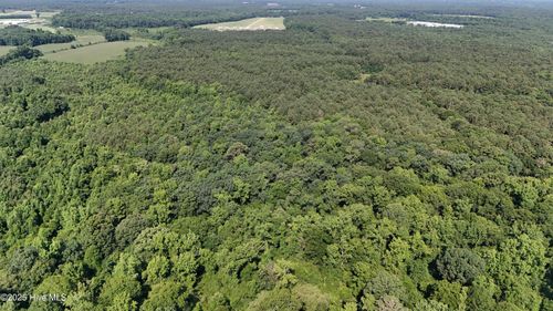 0 Reedsford Road, Turkey, NC, 28393 | Card Image