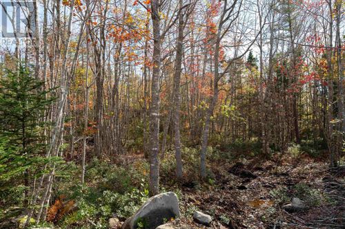 106 Morton Dr, Liverpool, NS, B0T | Card Image