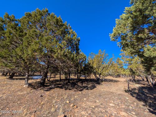 1462 Low Mountain Trl, Heber, AZ, 85928-9669 | Card Image