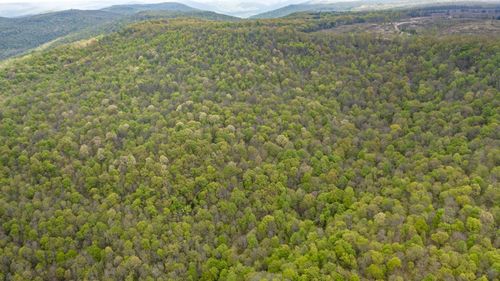 0 Northcutts Cove Rd, Beersheba Springs, TN, 37305 | Card Image