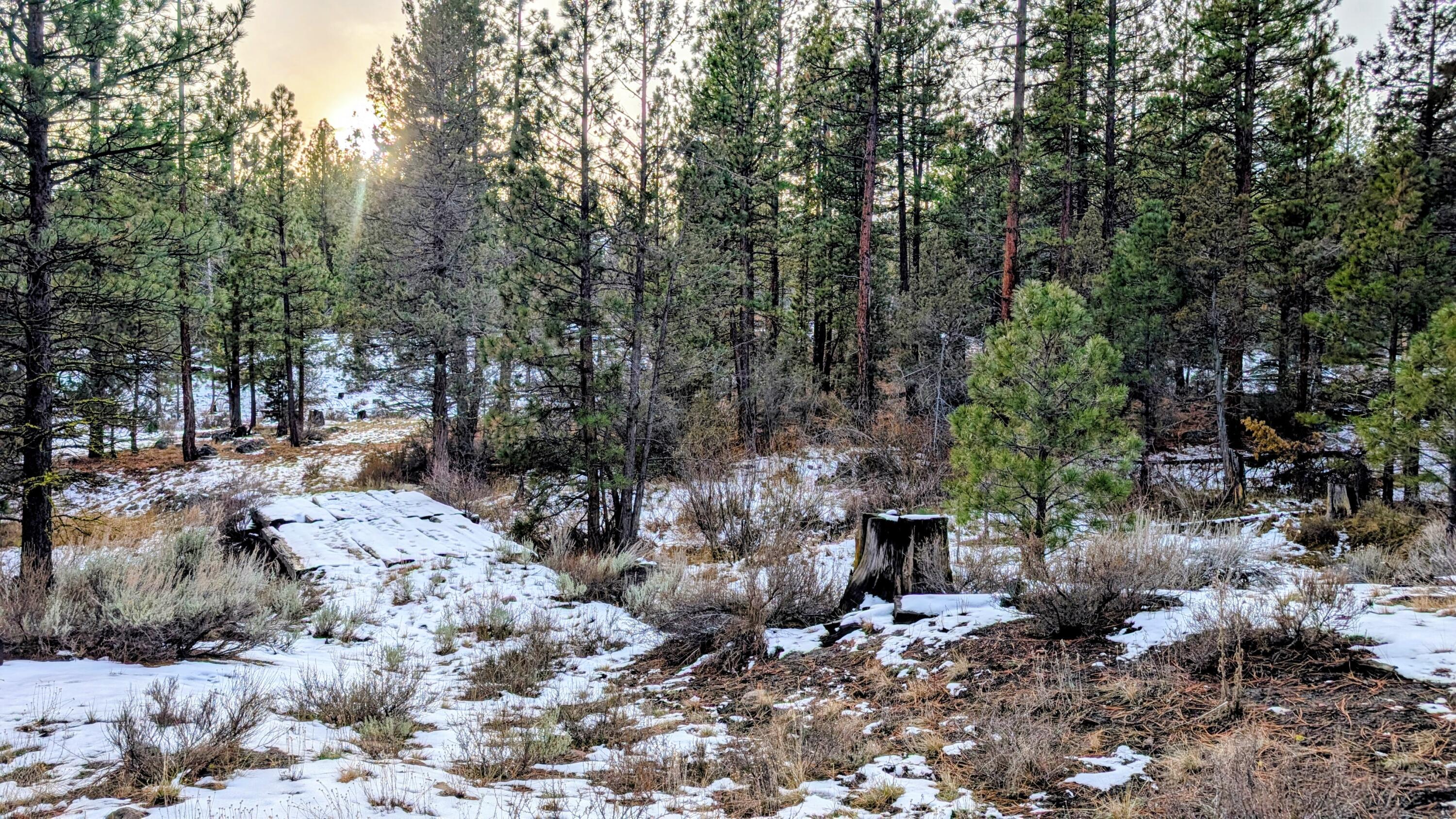 Land in Lakeview 4