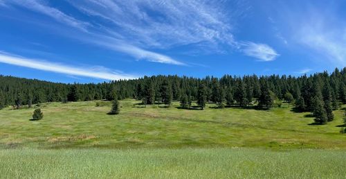 3635 B Breckenridge Rd, Rice, WA, 99167-5109 | Card Image