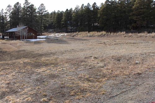 32 Frolic Ct, Pagosa Springs, CO, 81147-8105 | Card Image