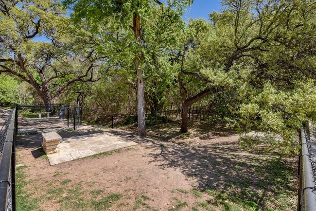 Dog park | Image 27