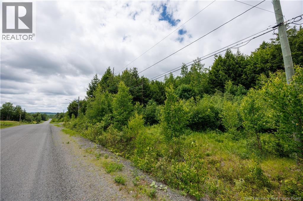 Land in Richibucto Road 3