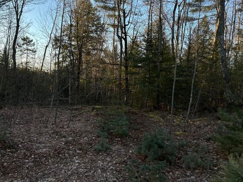 M7L22, L31 Nelson Ridge Road N, Washington, ME, 04574 | Card Image