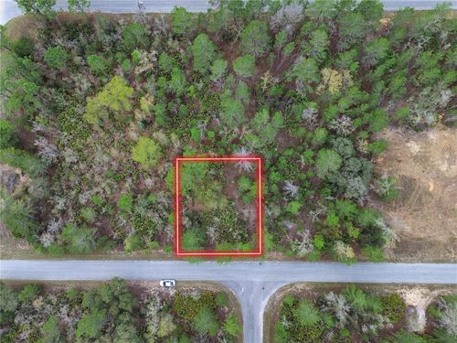 TBD Malauka Lane Ct, OCKLAWAHA, FL, 32179 | Card Image