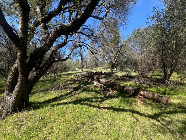 18907 Shake Ridge Rd, Home with 0 bedrooms, 0 bathrooms and null parking in Sutter Creek CA | Image 6
