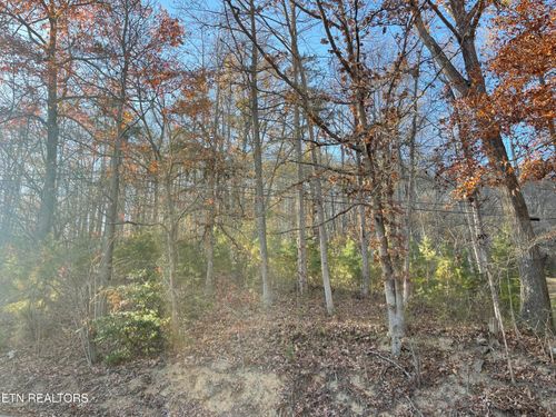 0 Holiday Ln, Jellico, TN, 37762 | Card Image
