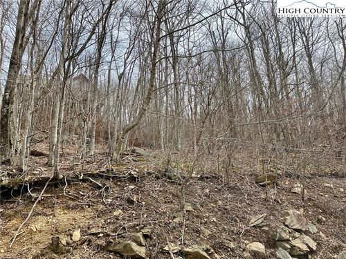 105 Thistle Ln, Beech Mountain, NC, 28604 | Card Image