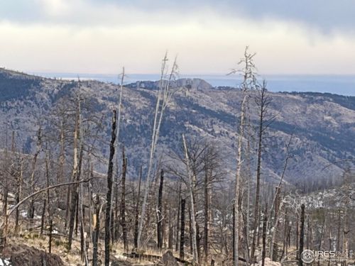 2025 Granite Rd, Bellvue, CO, 80512 | Card Image