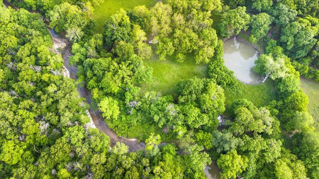 Drone / aerial view | Image 9