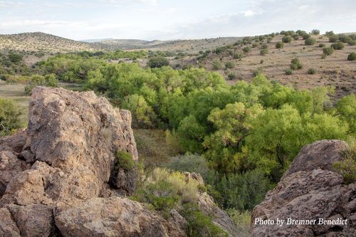 Pitchfork Pitchfork Dr, Silver City, NM, 88061 | Card Image