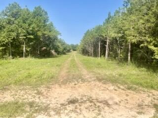 Land in Licking 3