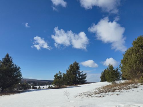 5850 Deer Run Trl, Harbor Springs, MI, 49740 | Card Image