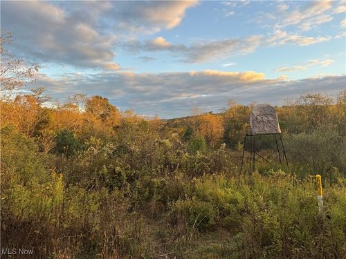 6142 Steubenville Rd Se, Amsterdam, OH, 43903-9743 | Card Image