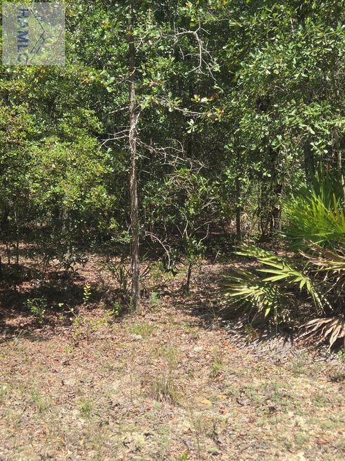 2 Acres Jones Rd Ne, Glennville, GA, 30427 | Card Image