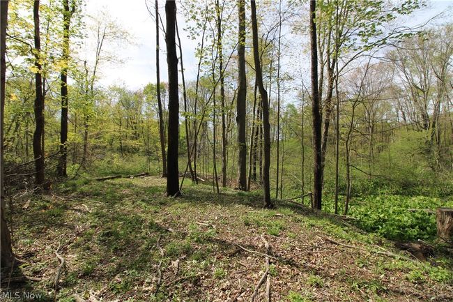 00S Creek Rd, Home with 0 bedrooms, 0 bathrooms and null parking in Williamsfield OH | Image 5