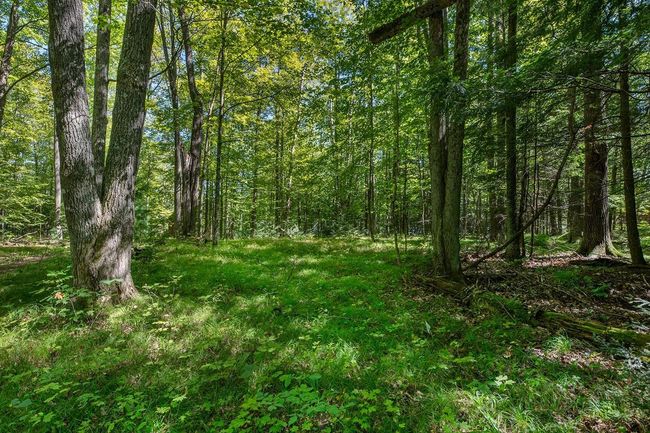 Lot 2 E Amber Lake Rd, Home with 0 bedrooms, 0 bathrooms and null parking in Lac du Flambeau WI | Image 15