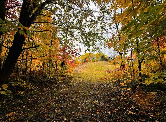 13906 Himanka Hill Rd, House other with 1 bedrooms, 1 bathrooms and null parking in Bruce Crossing MI | Image 30