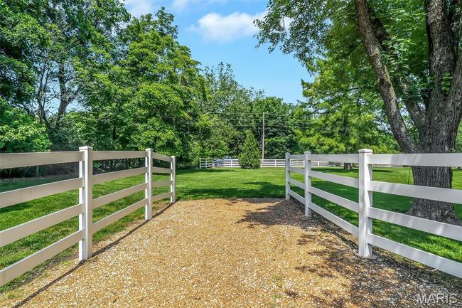 View of yard | Image 38