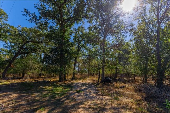 3597 Baker Rd, Home with 0 bedrooms, 0 bathrooms and null parking in Kingsbury TX | Image 12
