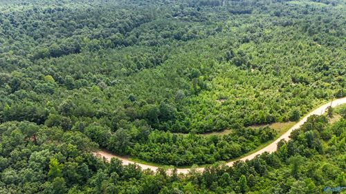 39 ACRES County Road 87, Vina, AL, 35593 | Card Image