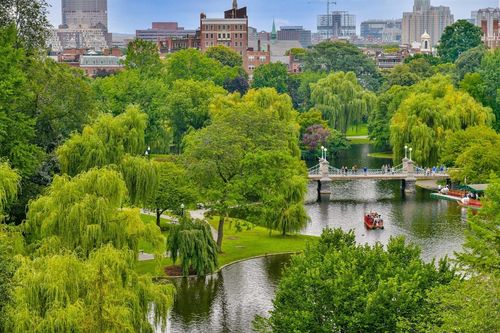 ph-250 Boylston Street, Boston, MA, 02116 | Card Image