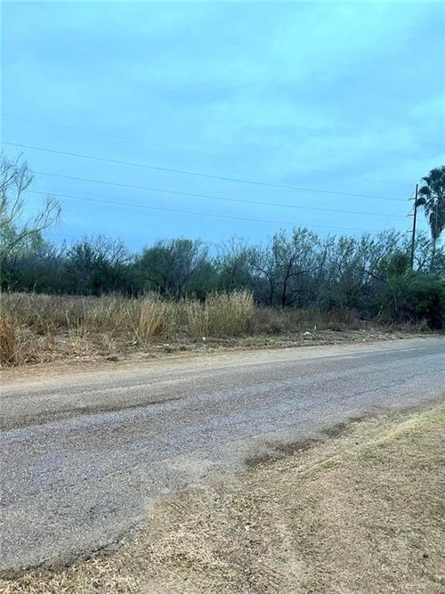 312 E Dolphin St, Roma, TX, 78584-8503 | Card Image