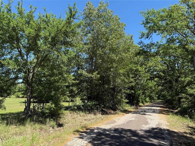 72 Acres N Farm Road 900, Home with 0 bedrooms, 0 bathrooms and null parking in Saltillo TX | Image 17