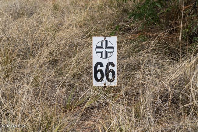 stdavid-6 | Image 14