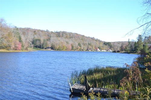 238 Trout Brook Rd, Roscoe, NY, 12776-5928 | Card Image