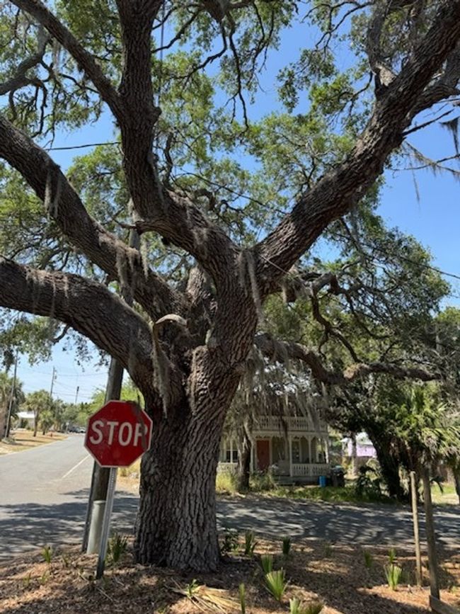 5011 F St, House other with 2 bedrooms, 2 bathrooms and null parking in CEDAR KEY FL | Image 26