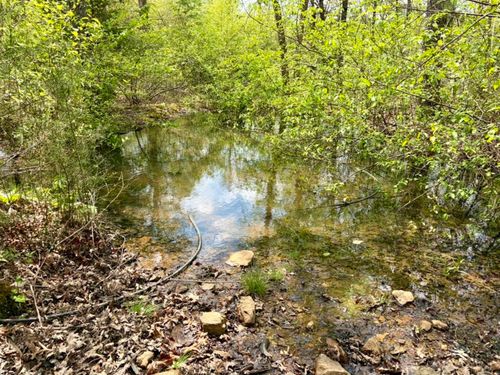 000 Rex Road, Scotland, AR, 72141 | Card Image