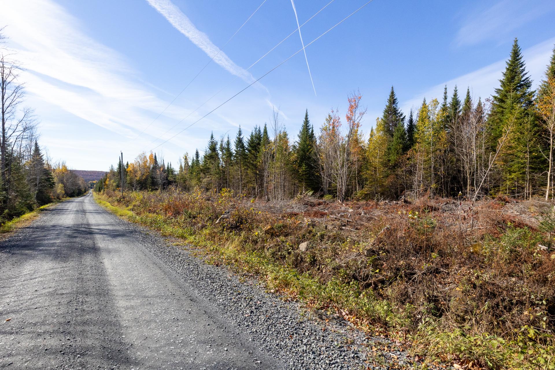 Land in Sainte-Cécile-de-Whitton 4