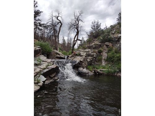 439 Redtail Ridge Way, Bellvue, CO, 80512-6005 | Card Image