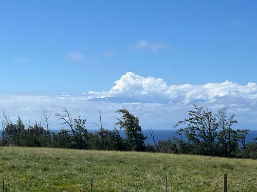 55-199-B Hoea Rd, Hawi, HI, 96719 | Card Image