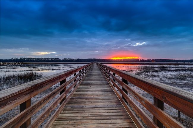 31 Carrier Blf, Home with 0 bedrooms, 0 bathrooms and null parking in Bluffton SC | Image 56