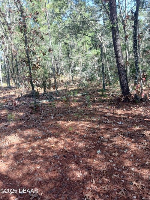11 Lake Lucy Ct, Interlachen, FL, 32148 | Card Image